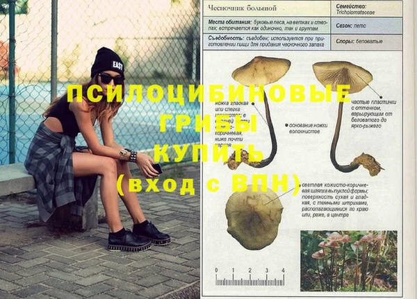 ешки Волоколамск