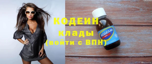 гашик Каменногорск