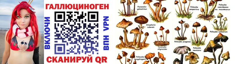 Псилоцибиновые грибы мицелий Ворсма